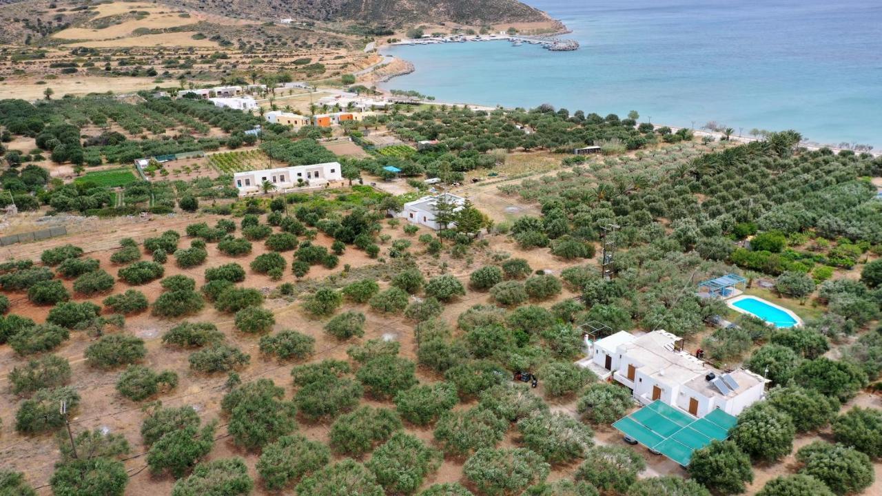 Voula'S Casa Di Mare Apartment Palekastro Exterior photo