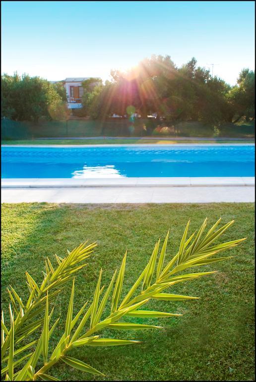 Voula'S Casa Di Mare Apartment Palekastro Exterior photo